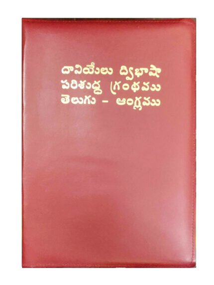 Daniel bilingual bible -KJV