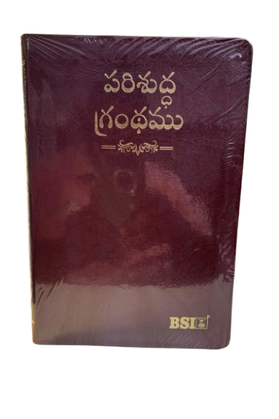 ov57-removebg-preview Holy Bible Telugu O.V.57 zipper (Korean made)