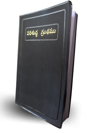 Telugu Holy Bible (Red edge) - BSI Containing Old and New Testament.