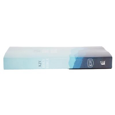 61ewbyc7uXL._SL1500_ KJV, Value Outreach Bible, Paperback: Holy Bible, King James Version