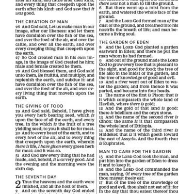 71CdDkPn-3L KJV, Holy Bible, Larger Print, Paperback, Comfort Print: Holy Bible, King James Version