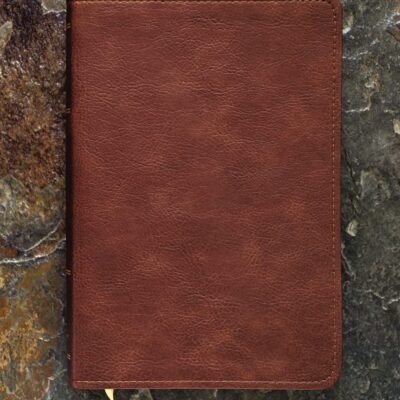KJV, Thompson Chain-Reference Bible, Handy Size, Leathersoft, Brown, Red Letter