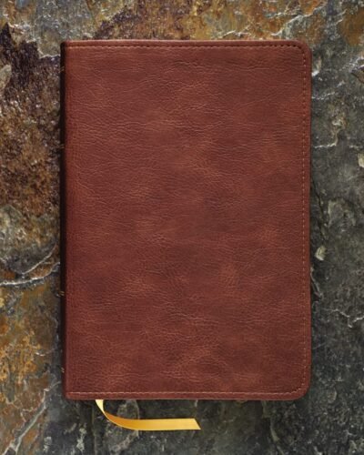 KJV, Thompson Chain-Reference Bible, Handy Size, Leathersoft, Brown, Red Letter