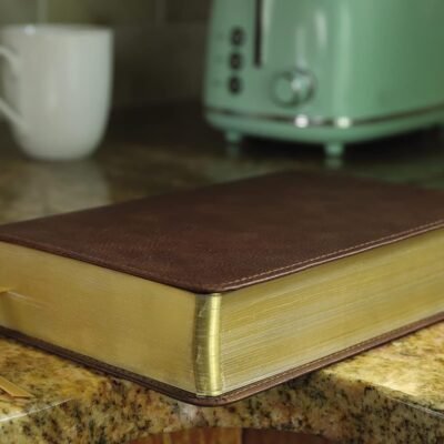 KJV, Thompson Chain-Reference Bible, Handy Size, Leathersoft, Brown, Red Letter