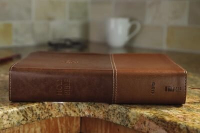 The Amplified Study Bible, Leathersoft, Brown