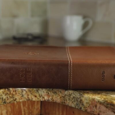 The Amplified Study Bible, Leathersoft, Brown