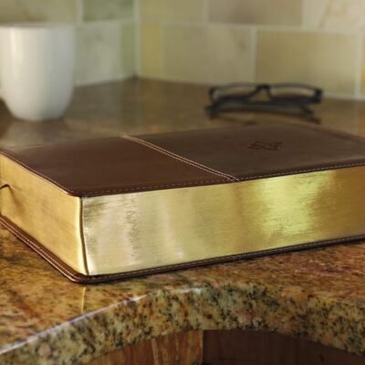 The Amplified Study Bible, Leathersoft, Brown