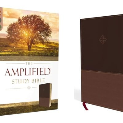 The Amplified Study Bible, Leathersoft, Brown