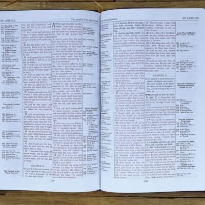 KJV, Thompson Chain-Reference Bible, Handy Size, Leathersoft, Brown, Red Letter
