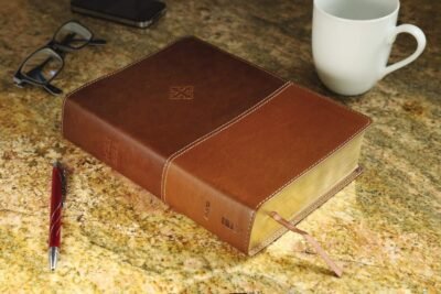 The Amplified Study Bible, Leathersoft, Brown