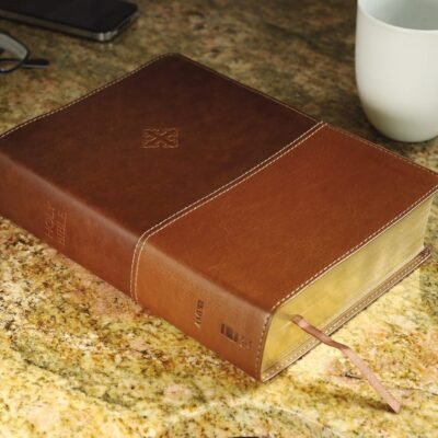 The Amplified Study Bible, Leathersoft, Brown
