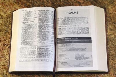 The Amplified Study Bible, Leathersoft, Brown