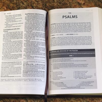 The Amplified Study Bible, Leathersoft, Brown