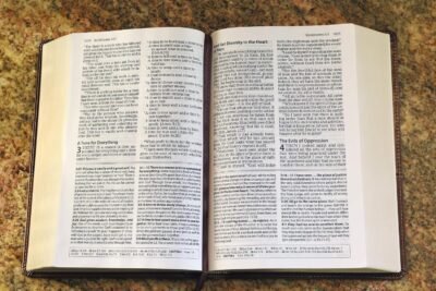 The Amplified Study Bible, Leathersoft, Brown