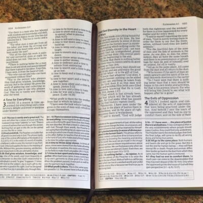 The Amplified Study Bible, Leathersoft, Brown