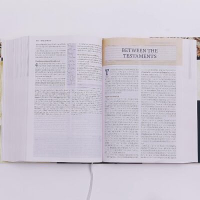 91QOlhEQoZS._SL1500_ KJV, The King James Study Bible, Leathersoft, Brown, Red Letter, Full-Color Edition: Holy Bible, King James Version
