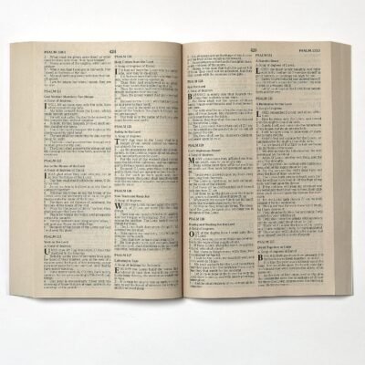 A1uSKz42zNL._SL1500_ KJV, Value Outreach Bible, Paperback: Holy Bible, King James Version