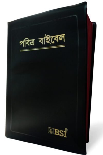 BENGALI Bengali Ordinary Bible (Demi Size)