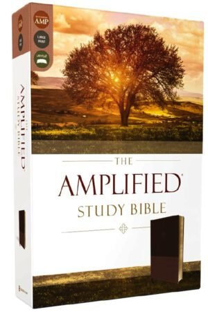 The Amplified Study Bible, Leathersoft, Brown