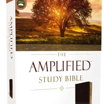 The Amplified Study Bible, Leathersoft, Brown