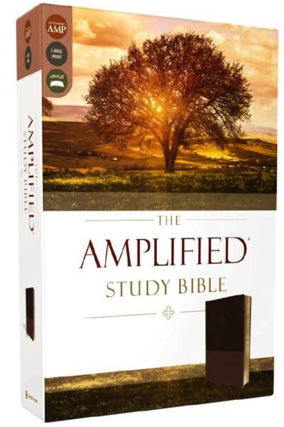 The Amplified Study Bible, Leathersoft, Brown
