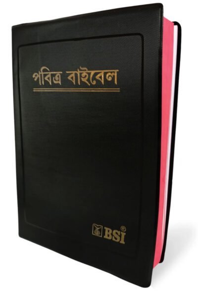 Assamese Ordinary Bible (Demy Size)