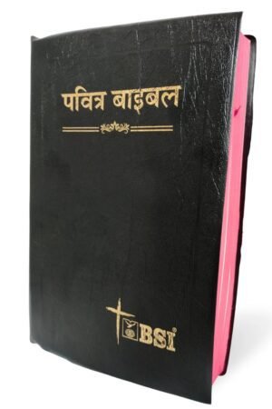 Hindi Ordinary Bible (Demi Size)