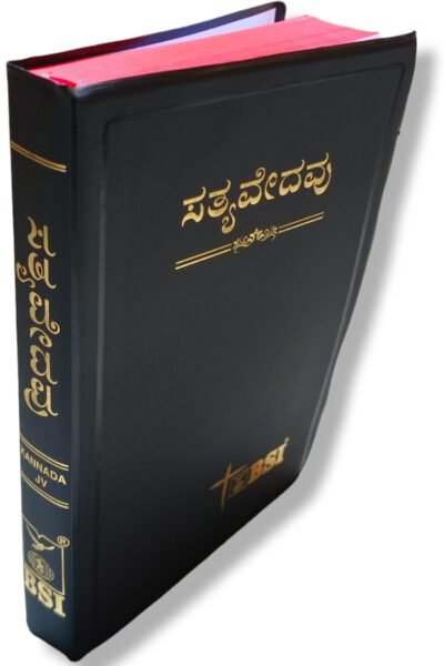 kannada Ordinary Bible (Demy Size)