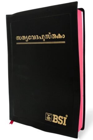 mal Malayalam Ordinary Bible (Demy Size)