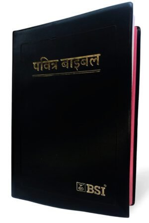 Nepali Ordinary Bible (Demi Size)