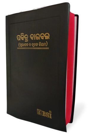odiya Ordinary Bible (Demy Size)