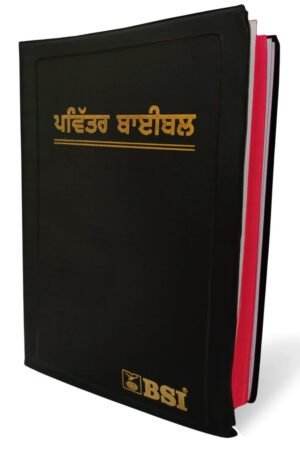 punjabi Ordinary Bible (Demi Size)