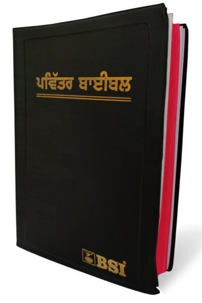 punjabi Ordinary Bible (Demi Size)