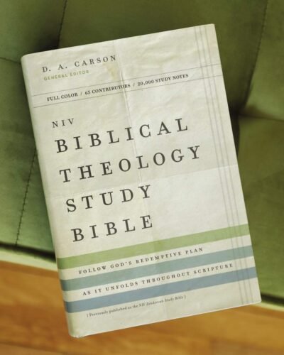 NIV, Biblical Theology Study Bible (Trace the Themes of Scripture), Hardcover, Comfort Print