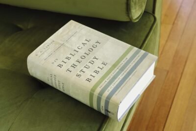 NIV, Biblical Theology Study Bible (Trace the Themes of Scripture), Hardcover, Comfort Print