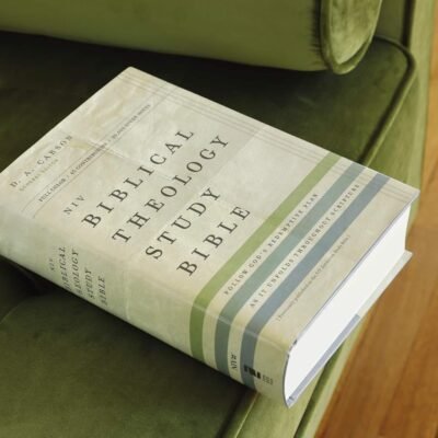 NIV, Biblical Theology Study Bible (Trace the Themes of Scripture), Hardcover, Comfort Print