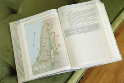 NIV, Biblical Theology Study Bible (Trace the Themes of Scripture), Hardcover, Comfort Print