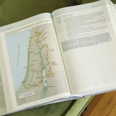 NIV, Biblical Theology Study Bible (Trace the Themes of Scripture), Hardcover, Comfort Print
