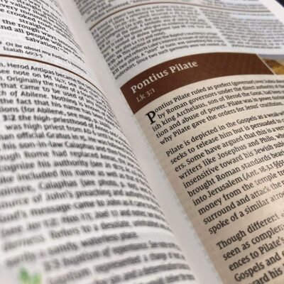 NIV Large-Print Study Bible, Fully Revised Edition, Comfort Print--bonded leather, black (red letter)