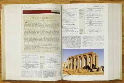 NIV, Cultural Backgrounds Study Bible: Bringing to Life the Ancient World of Scripture
