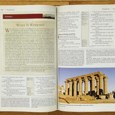 NIV, Cultural Backgrounds Study Bible: Bringing to Life the Ancient World of Scripture