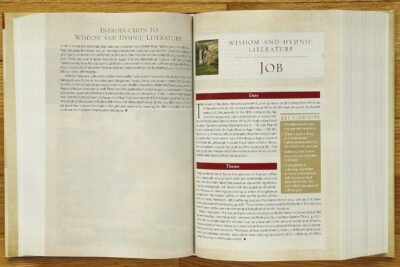 NIV, Cultural Backgrounds Study Bible: Bringing to Life the Ancient World of Scripture