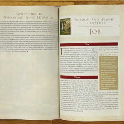 NIV, Cultural Backgrounds Study Bible: Bringing to Life the Ancient World of Scripture