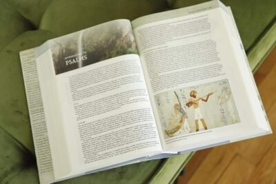 NIV, Biblical Theology Study Bible (Trace the Themes of Scripture), Hardcover, Comfort Print