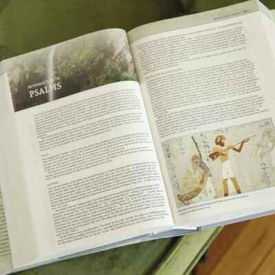 NIV, Biblical Theology Study Bible (Trace the Themes of Scripture), Hardcover, Comfort Print