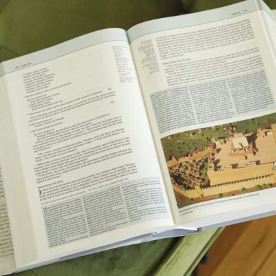 NIV, Biblical Theology Study Bible (Trace the Themes of Scripture), Hardcover, Comfort Print