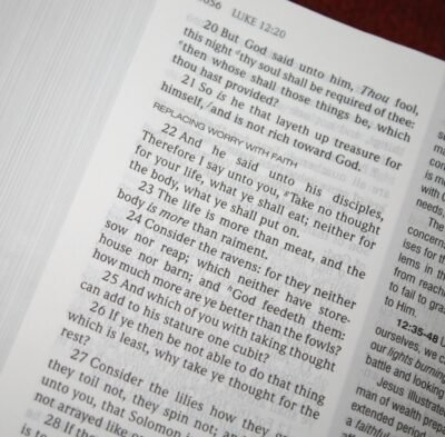 Teacher's Study Bible-KJV