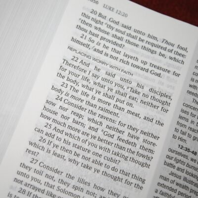 Teacher's Study Bible-KJV
