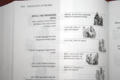 Teacher's Study Bible-KJV