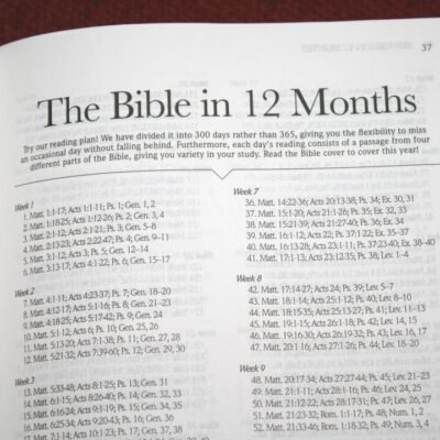 Teacher's Study Bible-KJV